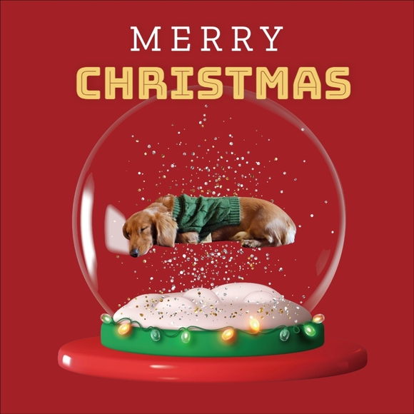 Meet your Posher, Noreen - Picture 7 of 7